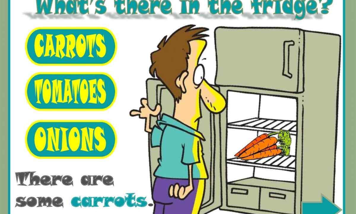 How to pick up the fridge: secrets of right choice