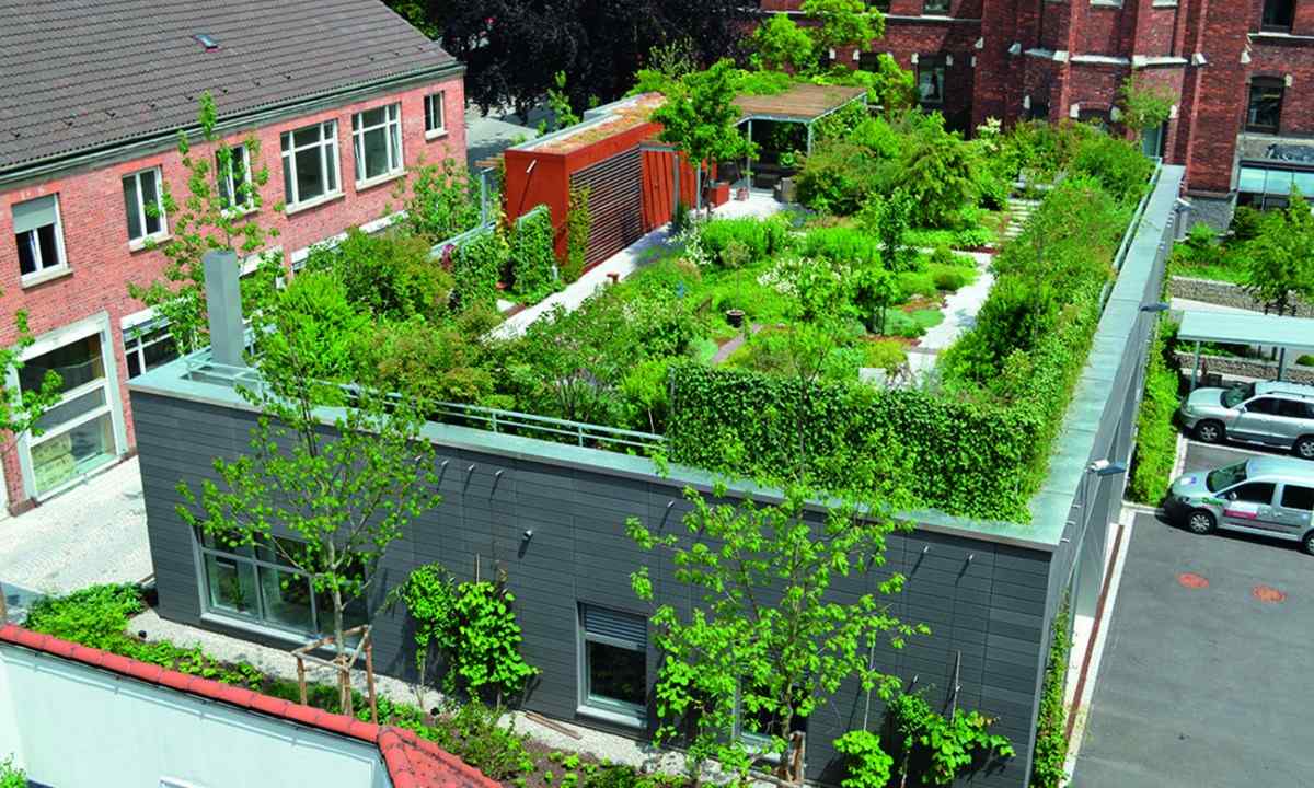 Green roofs: types, advantages, shortcomings