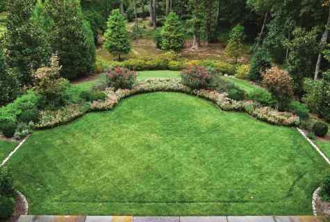 Types of landscaping