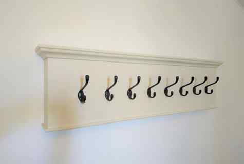 How to choose wall hanger to the hall