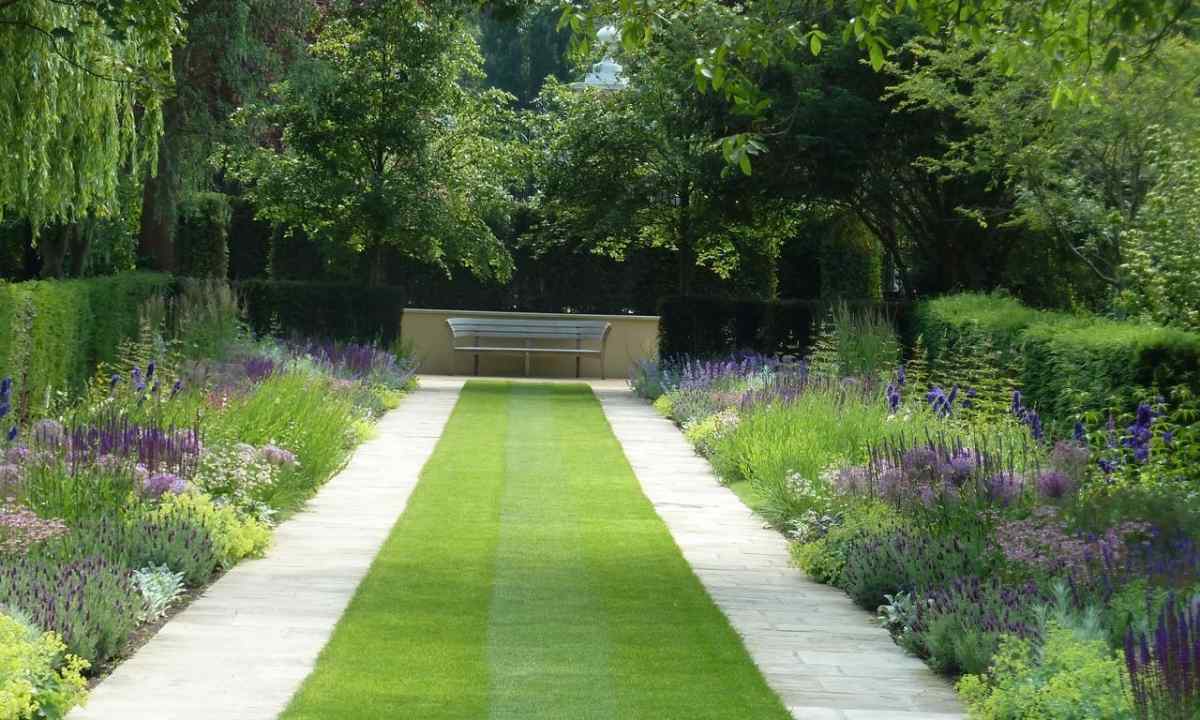 How to use color in landscaping