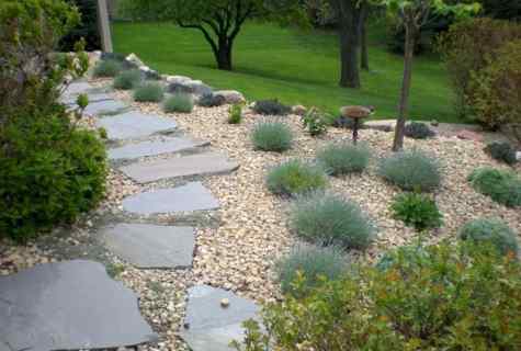 Decorative garden paths