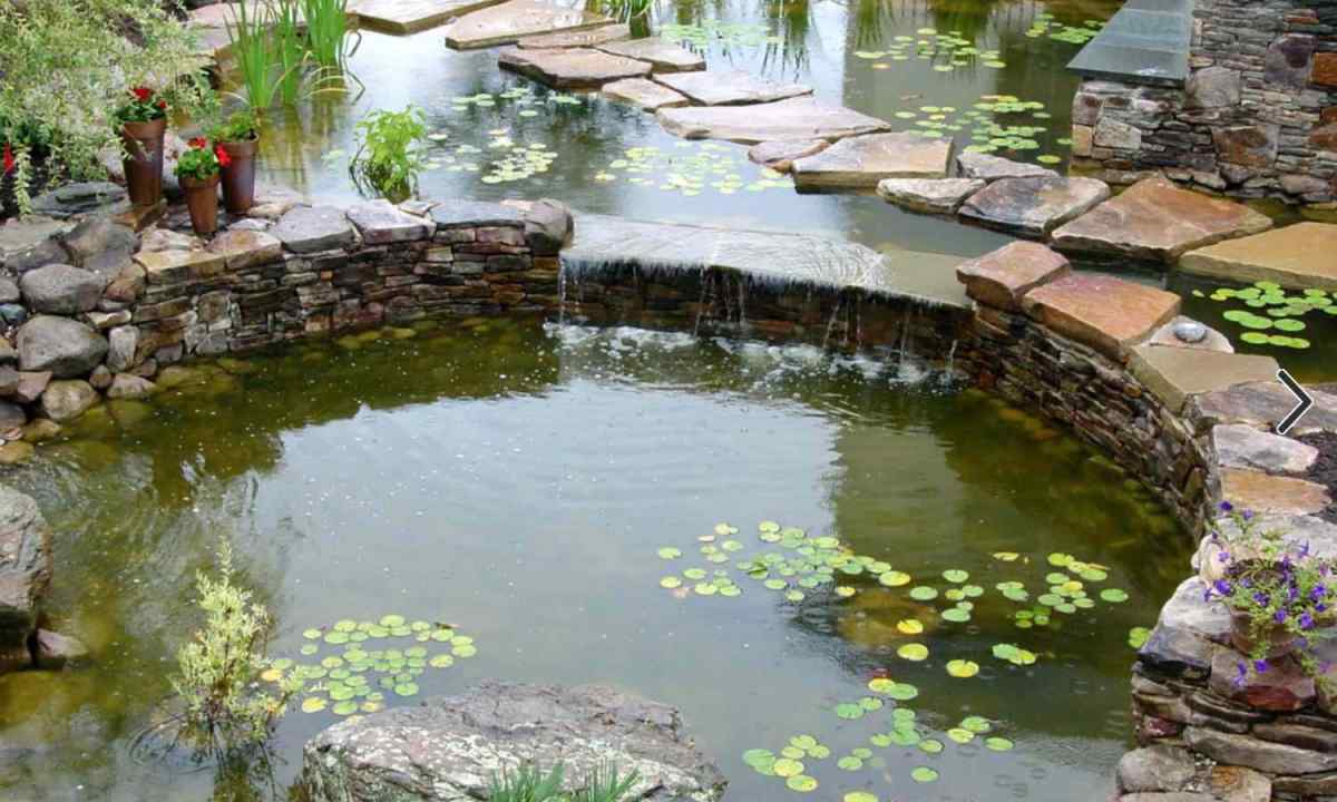 How to decorate pond