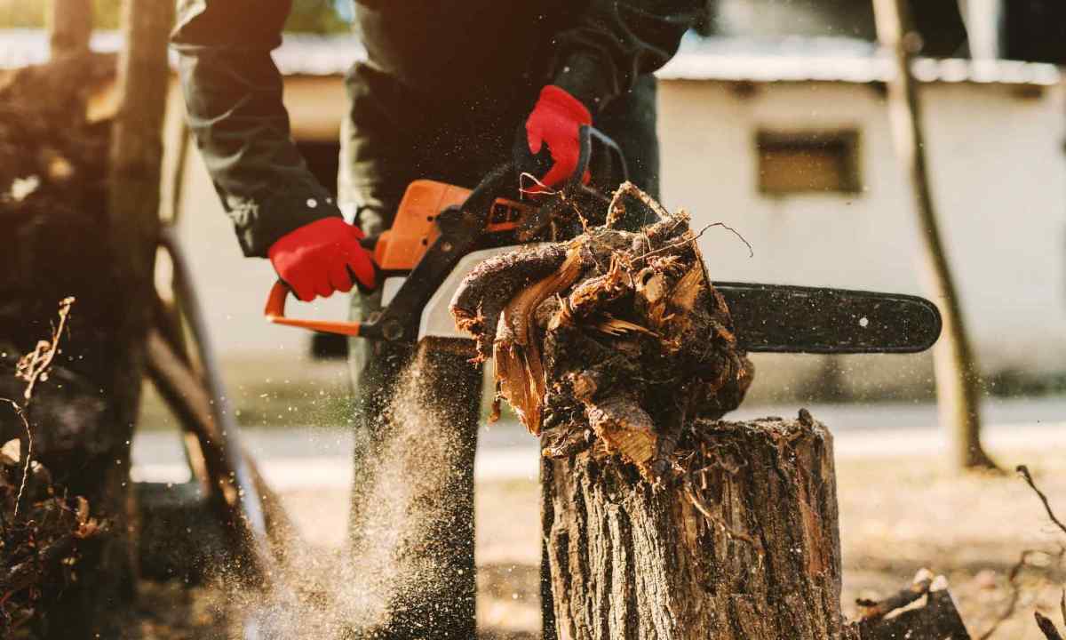 How to cut tree the chainsaw