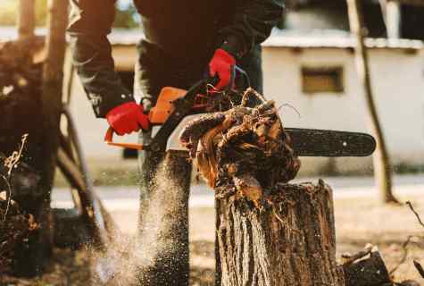 How to cut tree the chainsaw