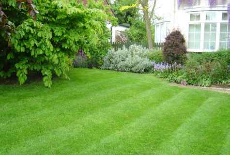 How to level grass on the lawn