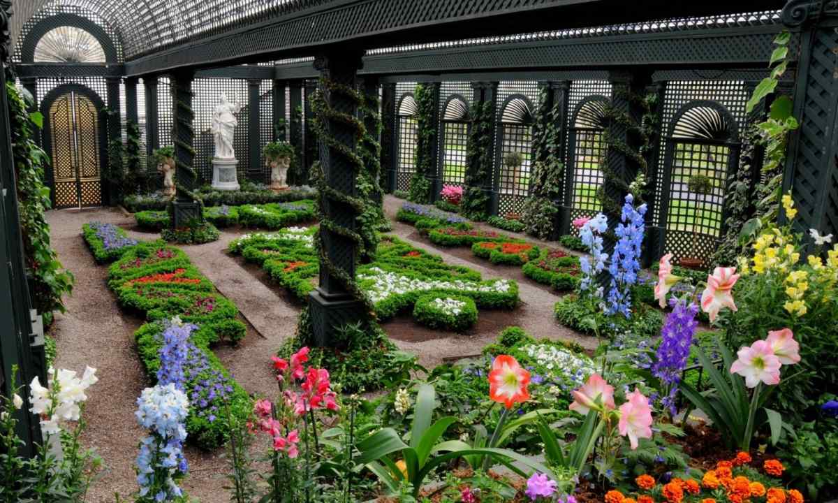 Unique design of garden on the basis of arches and the covered avenues