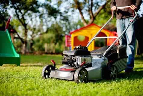 Self-propelled lawn-mower: care of beauty of the site