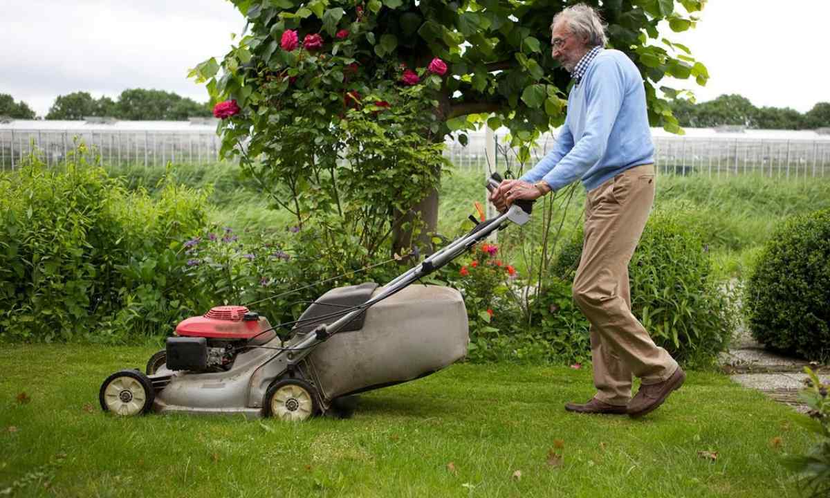 When it is the best of all to equip lawn on the site