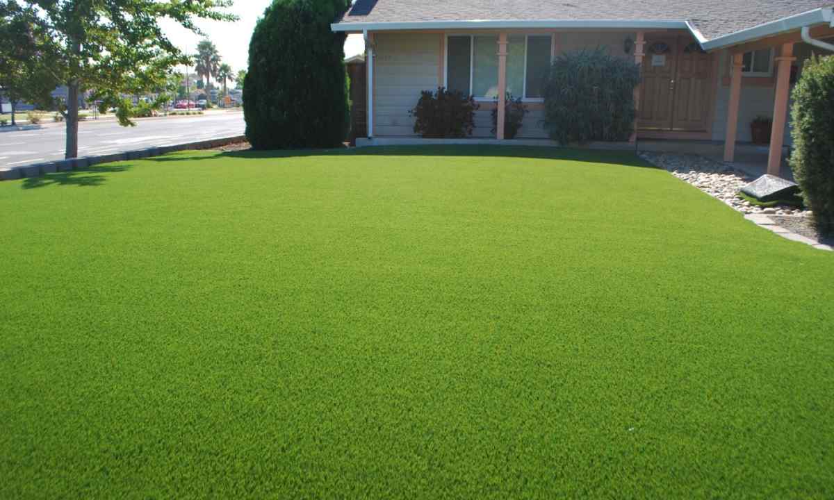 How to organize emerald lawn