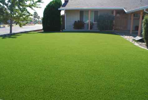 How to organize emerald lawn