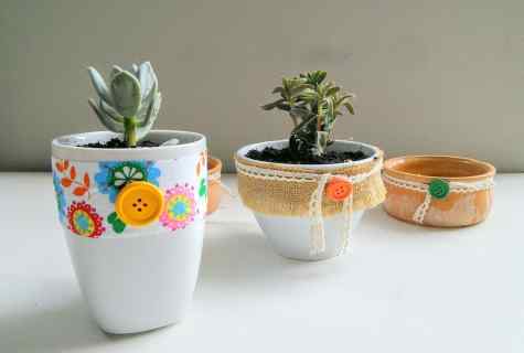 How to decorate flowerpots
