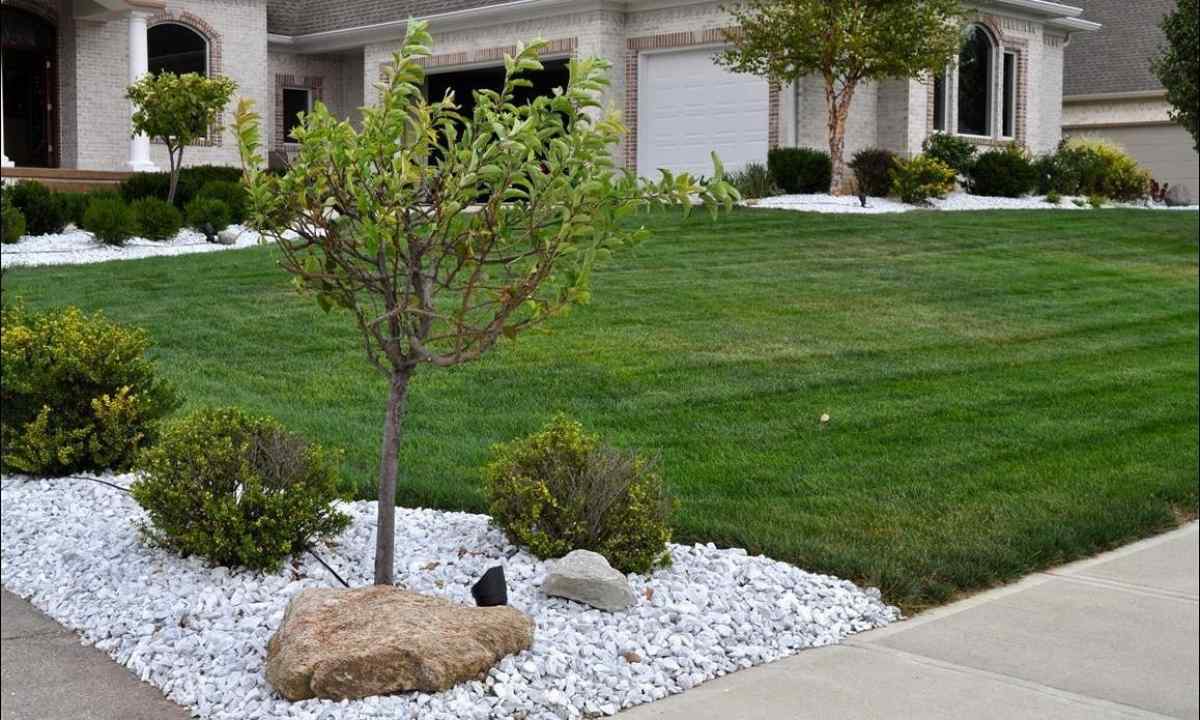 How to use marble crumb in landscaping