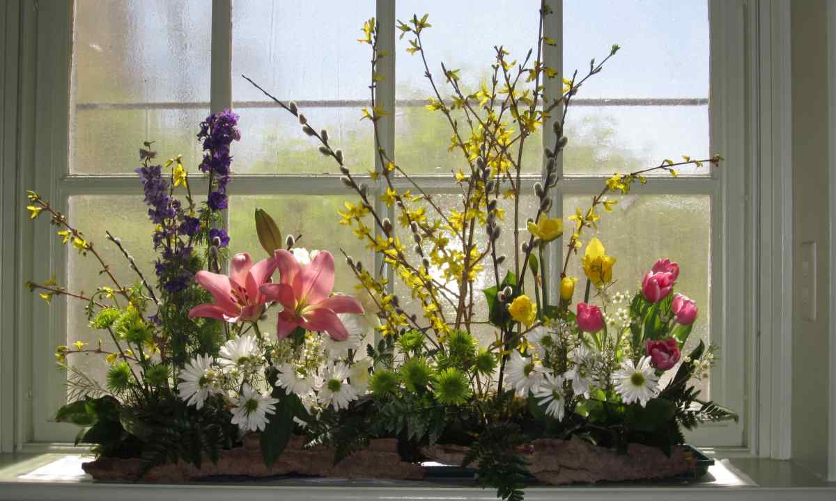 How to decorate window in the spring