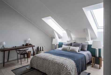 Bed attic: what distinctions happen