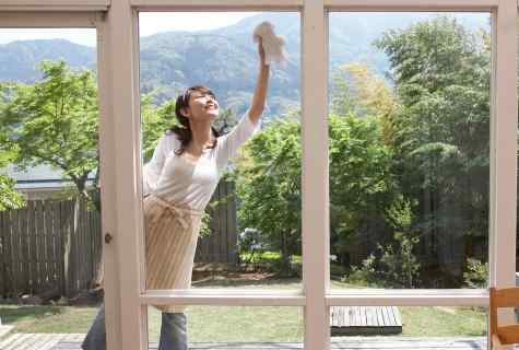 How to hang up daisy on window