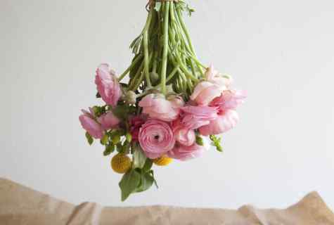 How to prolong life to svezhesrezanny flowers
