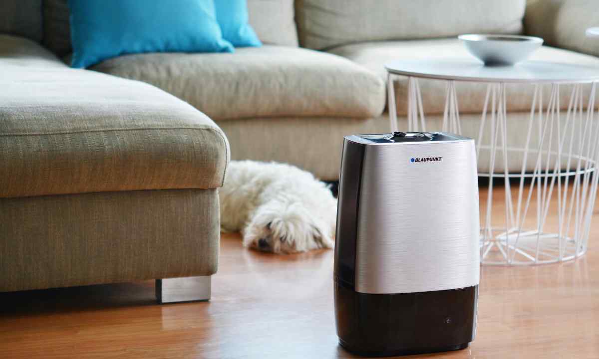 How to choose humidifier and the air purifier