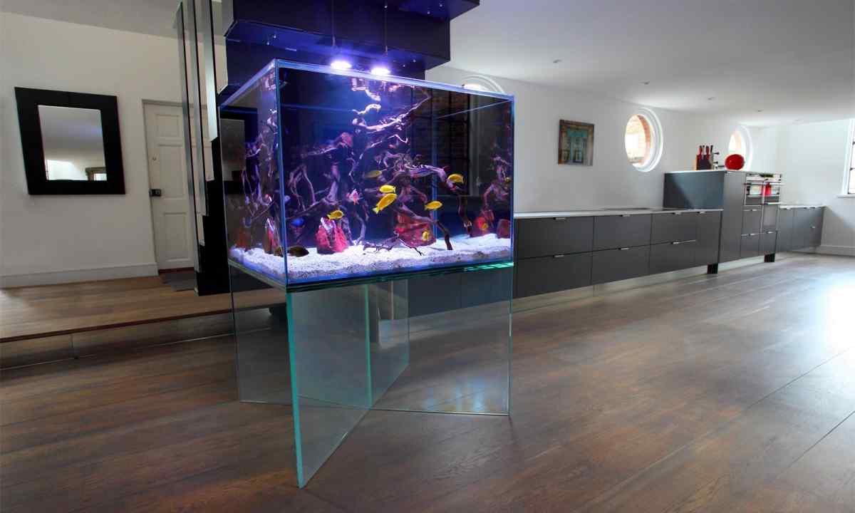 How to make aquarium in floor