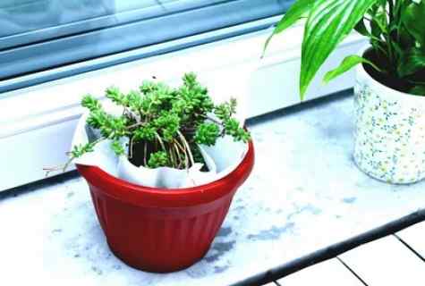 How to issue pot for flower
