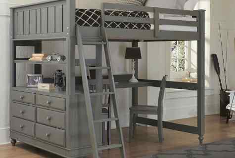How to choose bunk bed