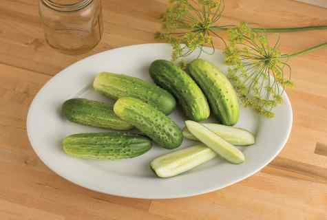How to receive the seeds from cucumbers