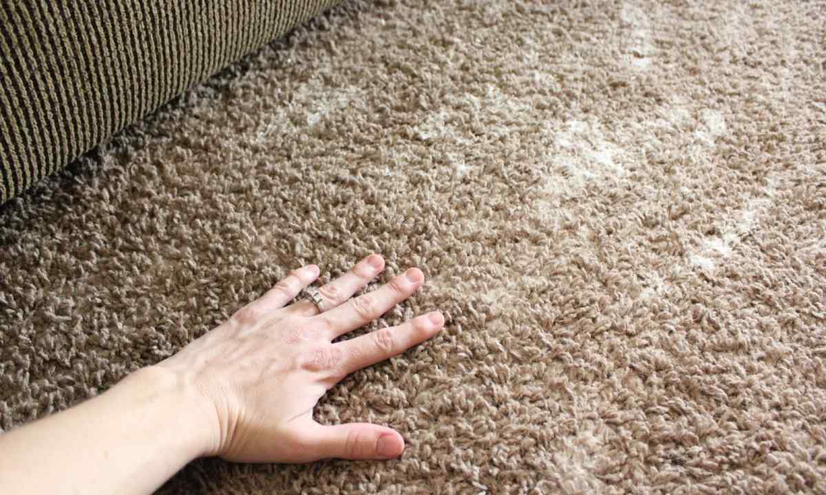 How to dry up carpet