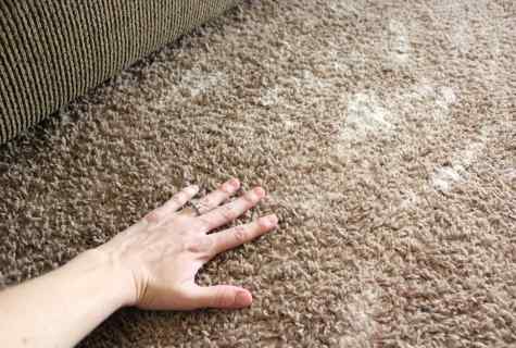 How to dry up carpet