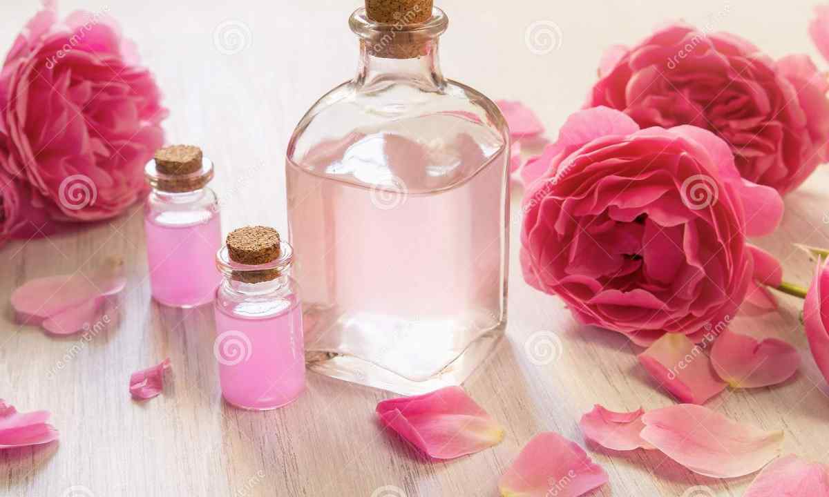 How to store roses
