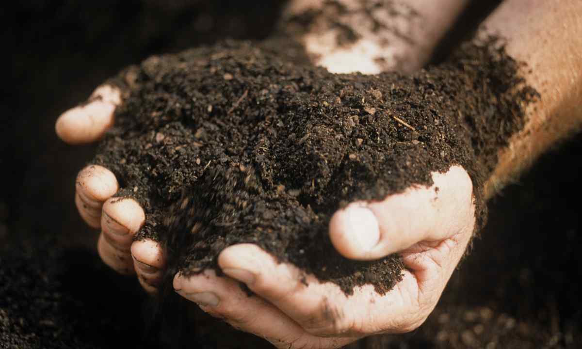 How to clean soil