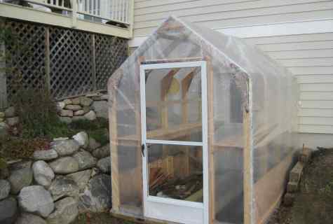 How to make the greenhouse with own hands