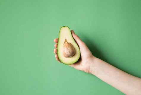 How to raise avocado