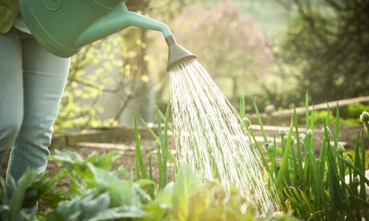 How to make watering