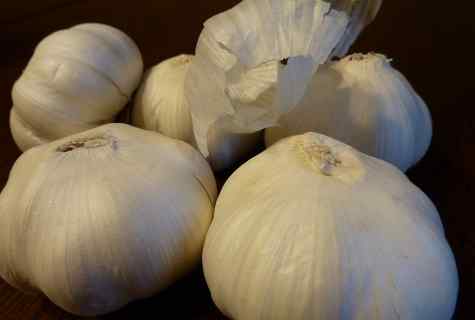 Rokambol wonderful garlic