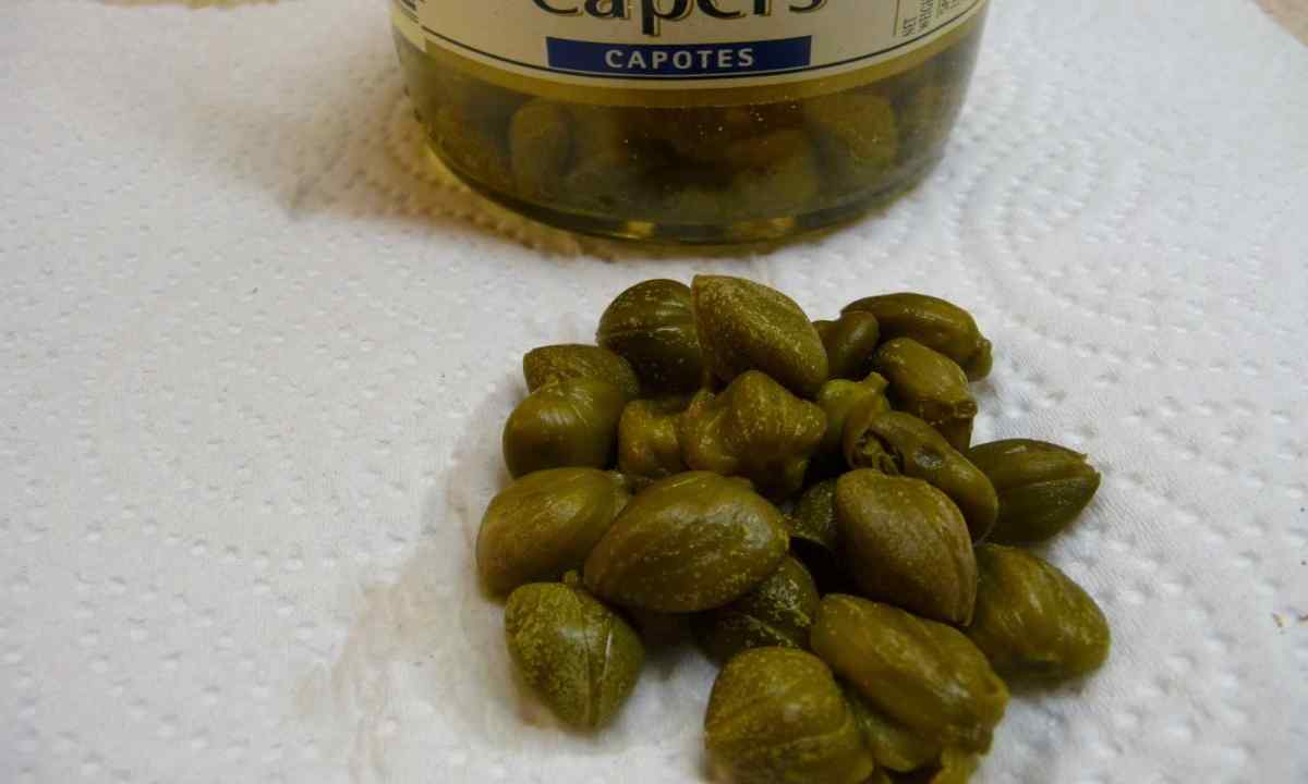 How to grow up capers