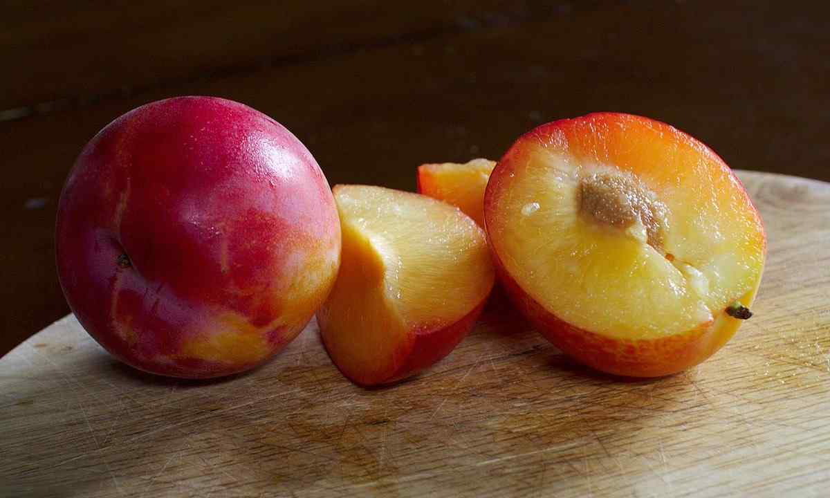 How to make ready for the winter cherry, plum and apricot