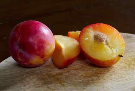 How to make ready for the winter cherry, plum and apricot