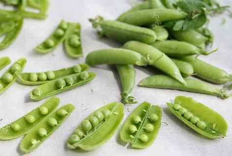 How to grow up peas