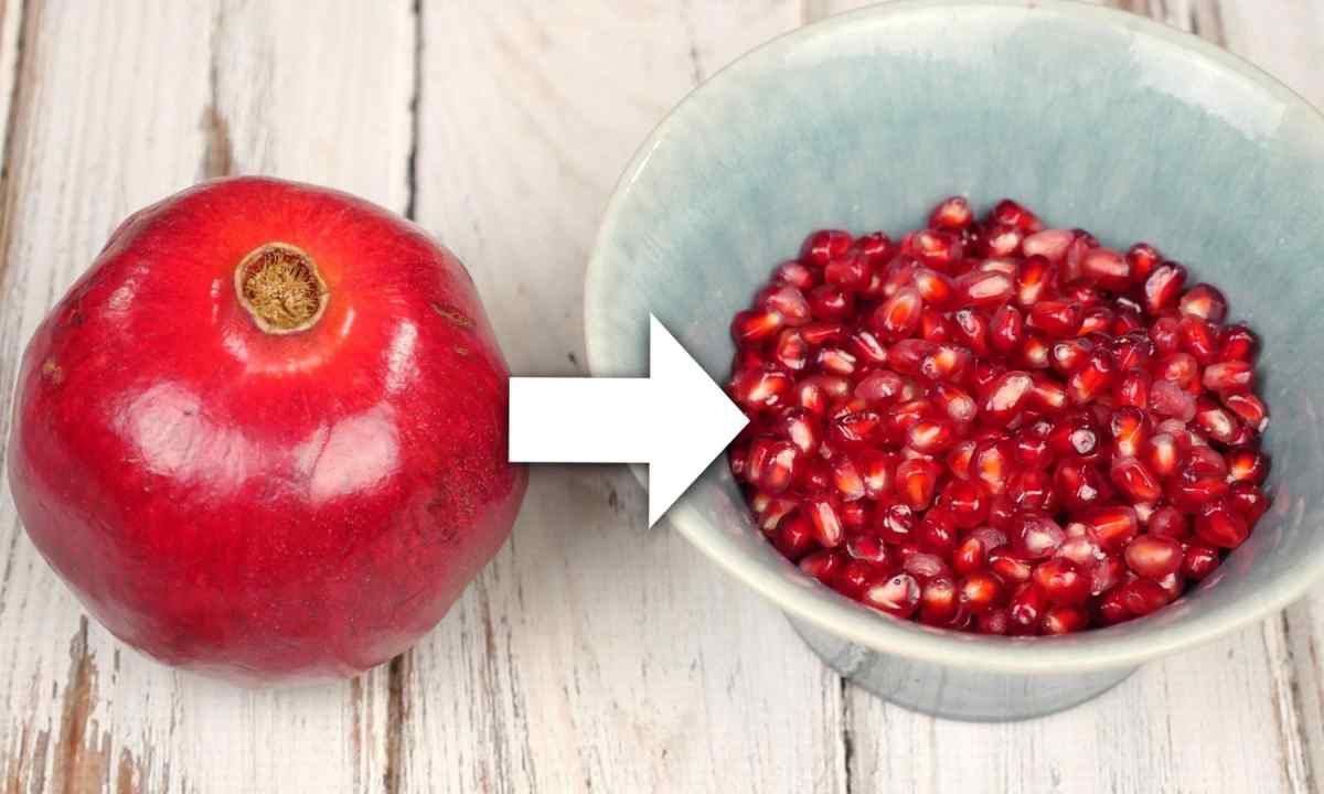 How to grow up home-made pomegranate
