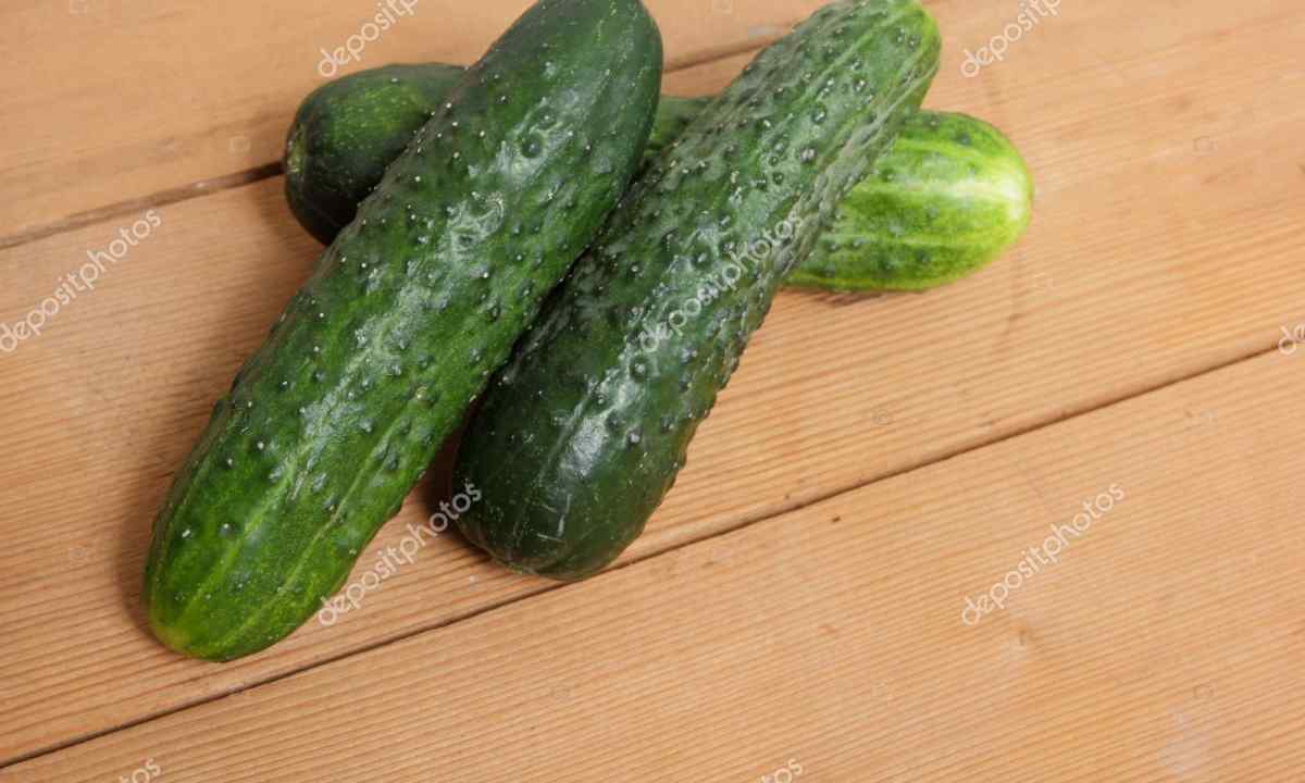 Why cucumbers empty inside