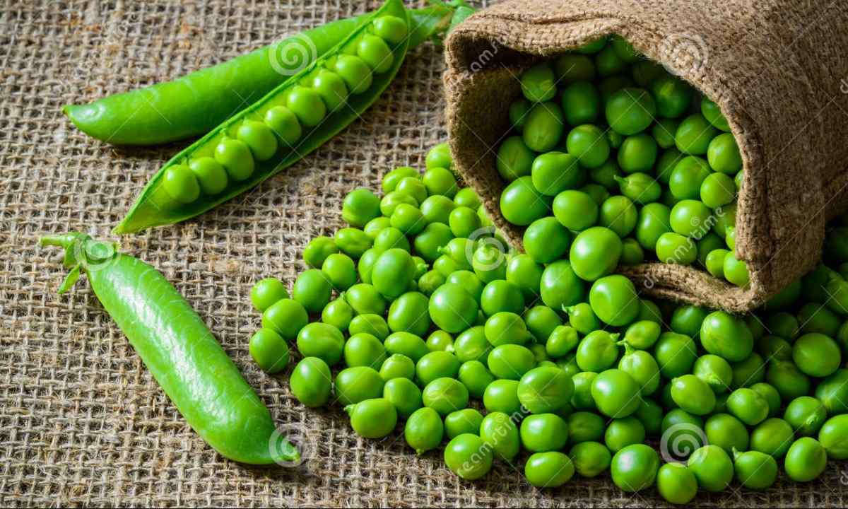 How to couch peas