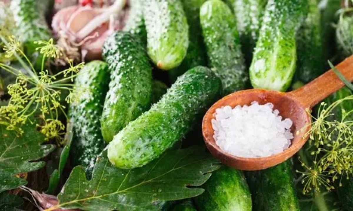 What cucumbers the best for salting