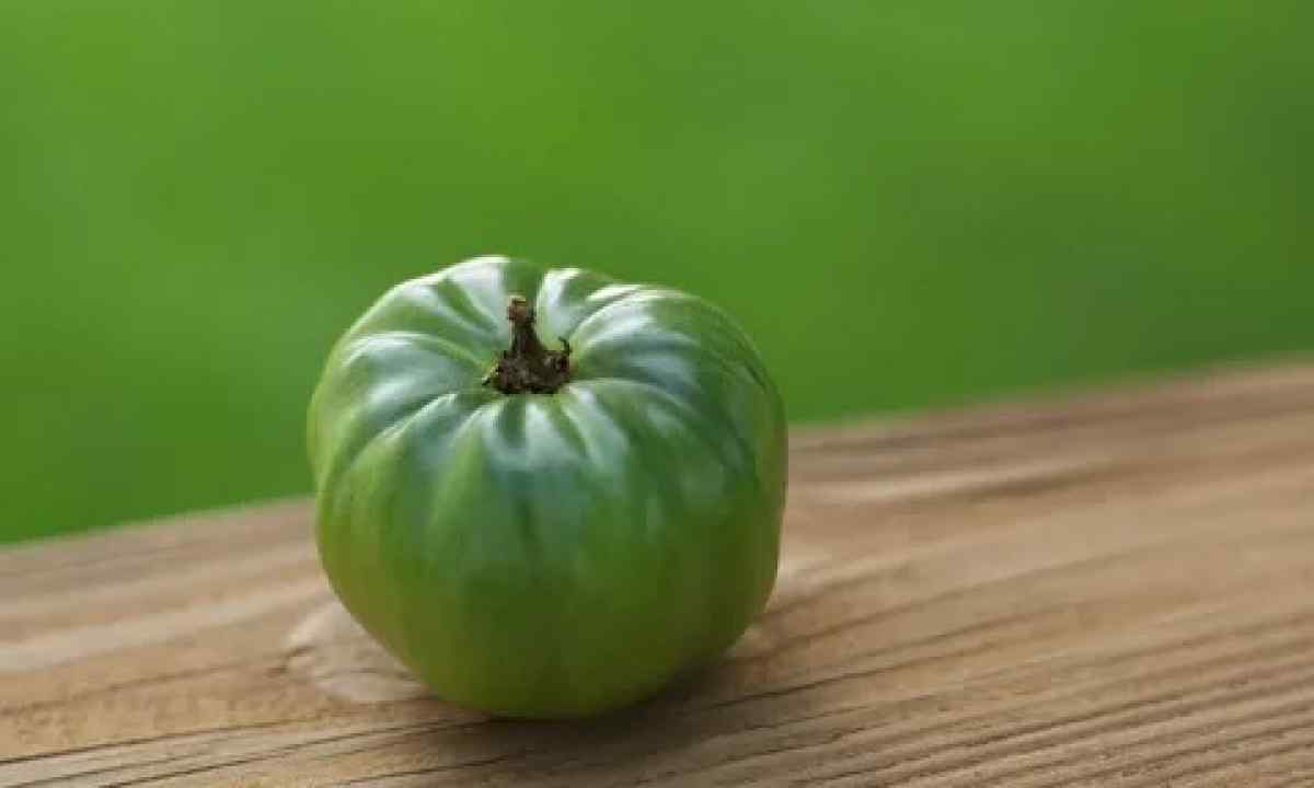 Why green tomatoes blacken
