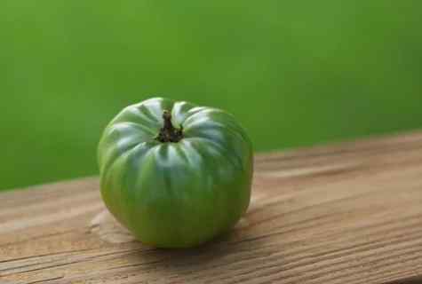 Why green tomatoes blacken