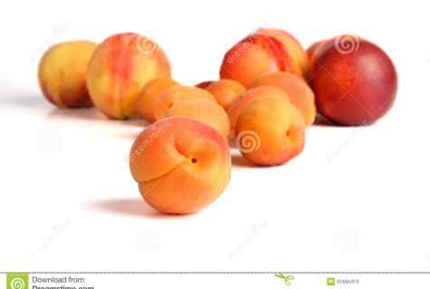 Whether it is possible to impart peach on apricot