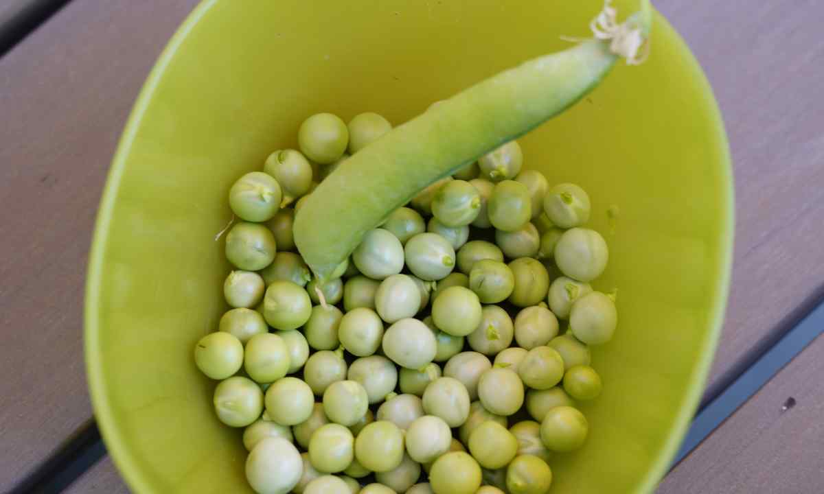 How to ret peas before landing