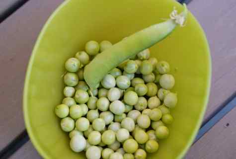 How to ret peas before landing