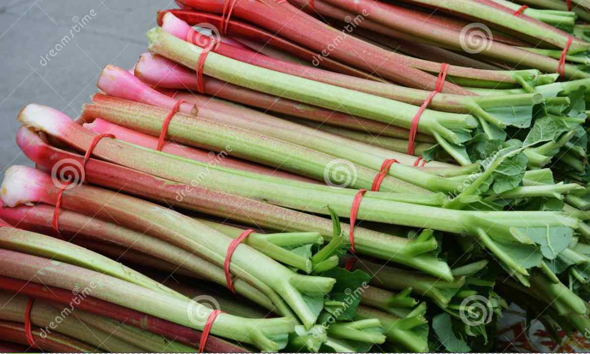 As it is correct to collect rhubarb
