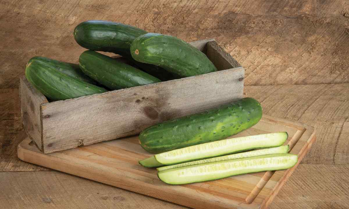 How to couch seeds of cucumbers