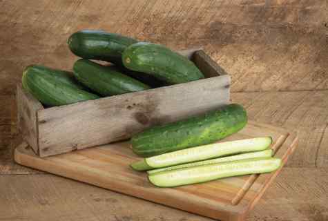 How to couch seeds of cucumbers